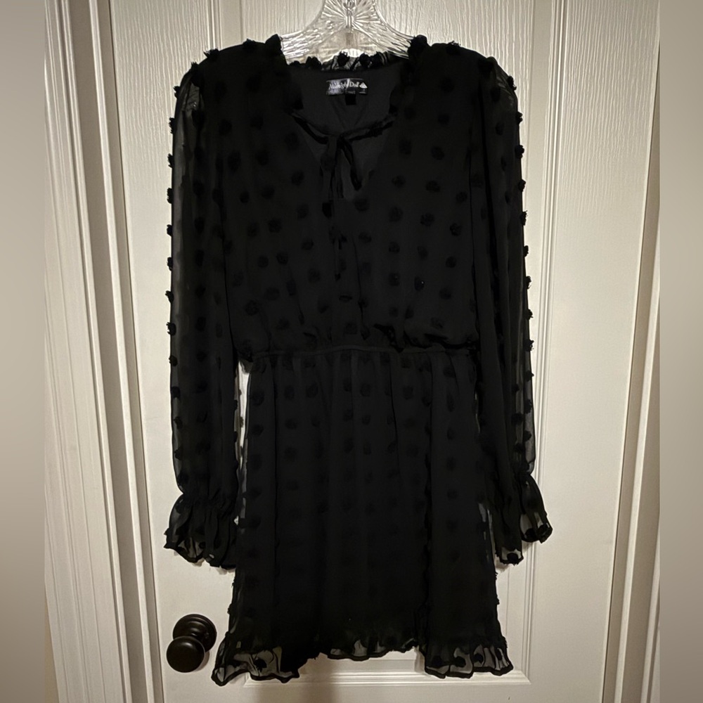 Chic Black Sheer Dress